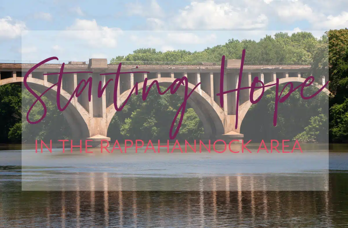 Rappahannock Area Comm Servs Board - Preview
